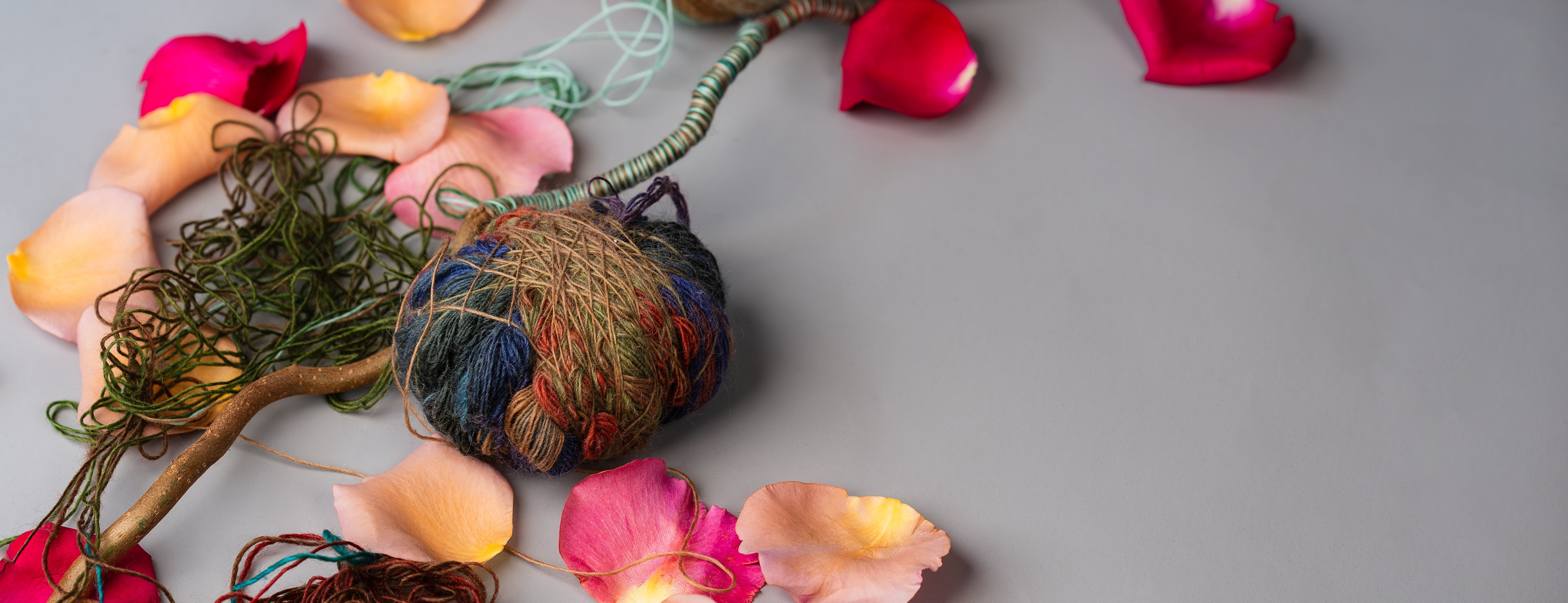 Exploring the Mesmerizing Flower Markets in the UAE A Guide for Flower Enthusiasts