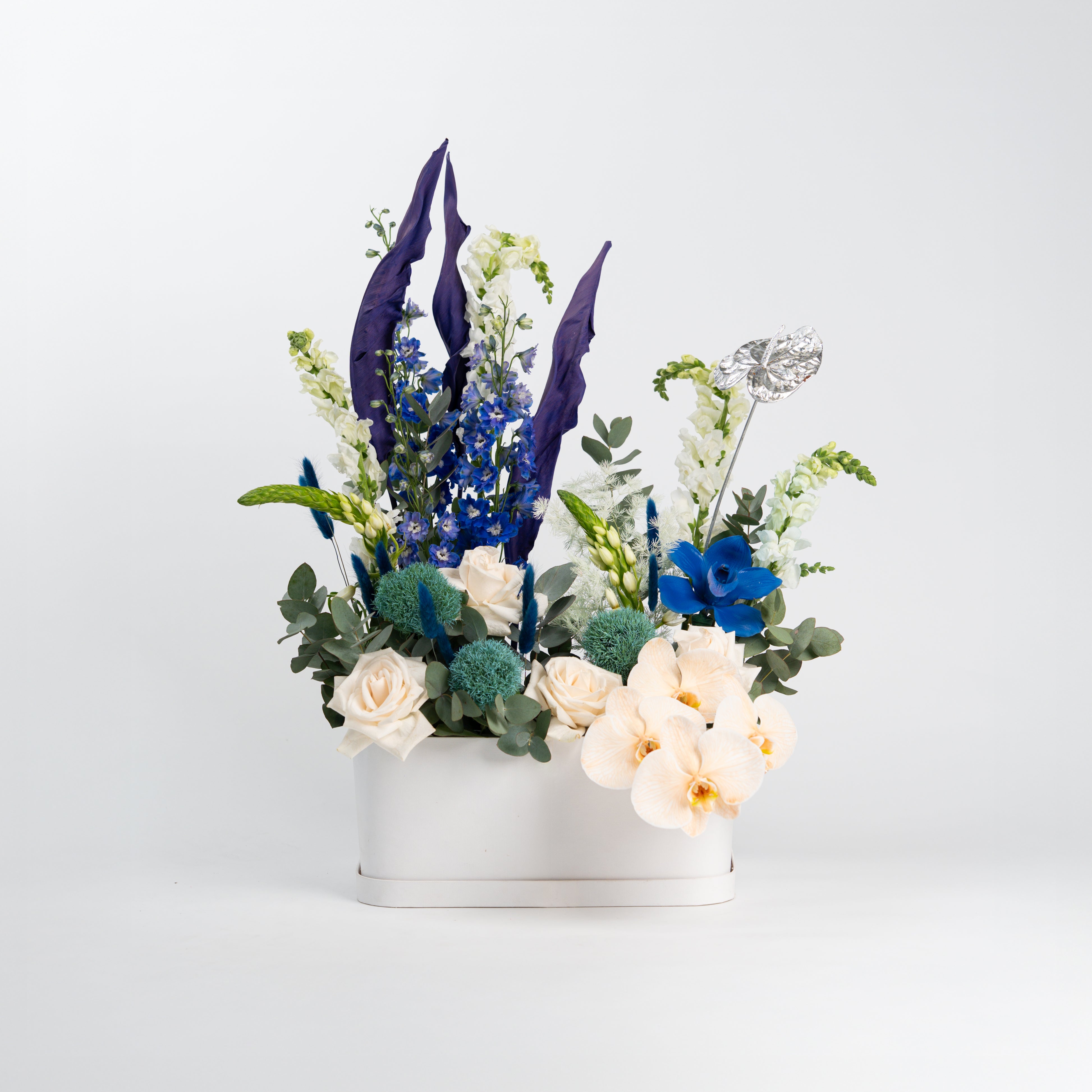 SAPPHIRE BLOOM