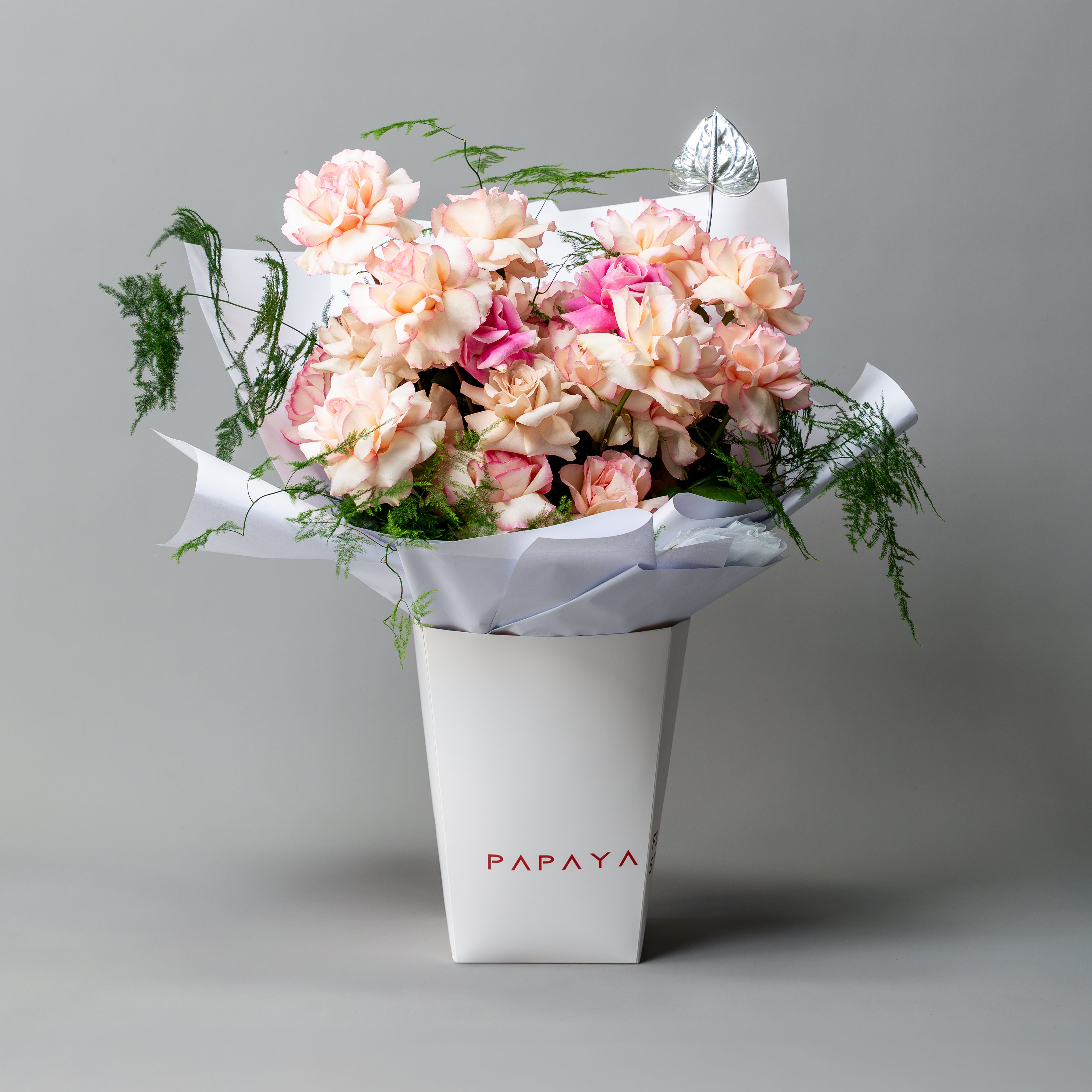 Bicolor cream and pink reflexed roses bouquet with silver anthurium leaf in white branded carrier box delivery Dubai.