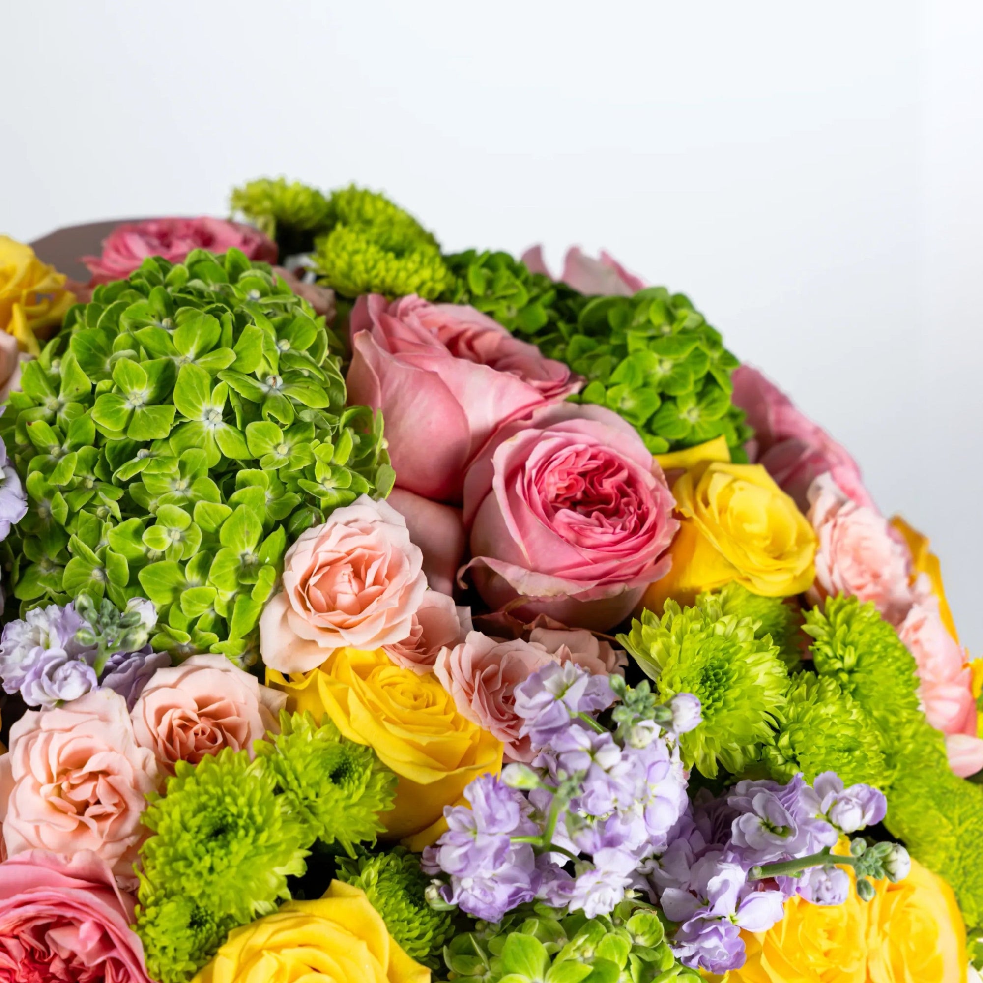 Close-up of green hydrangeas, pink garden roses, yellow roses and lavender stock